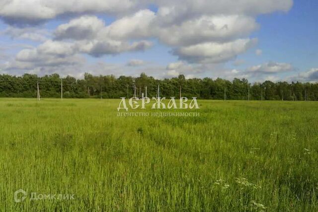 Северо-Восточный район, Старооскольский городской округ фото