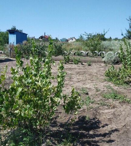 р-н Пролетарский городской округ Ростов-на-Дону, Ясная Поляна, посёлок фото