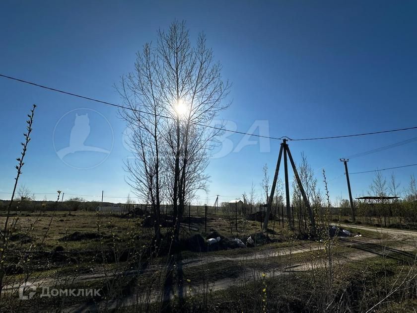 земля р-н Тюменский ДНТ Горячий источник фото 1