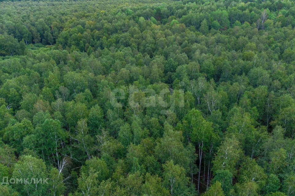 земля г Тюмень снт Светлячок городской округ Тюмень, 2-я улица фото 1