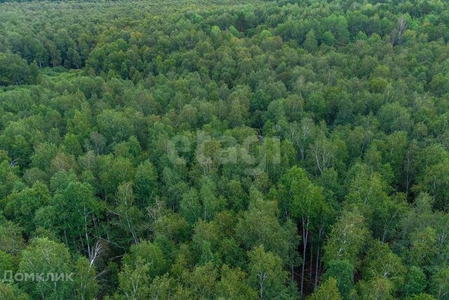 снт Светлячок городской округ Тюмень, 2-я улица фото