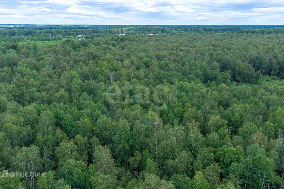 земля г Тюмень снт Светлячок городской округ Тюмень, 2-я улица фото 1