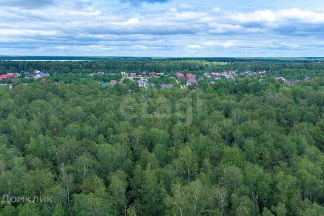 снт Светлячок городской округ Тюмень, 2-я улица фото