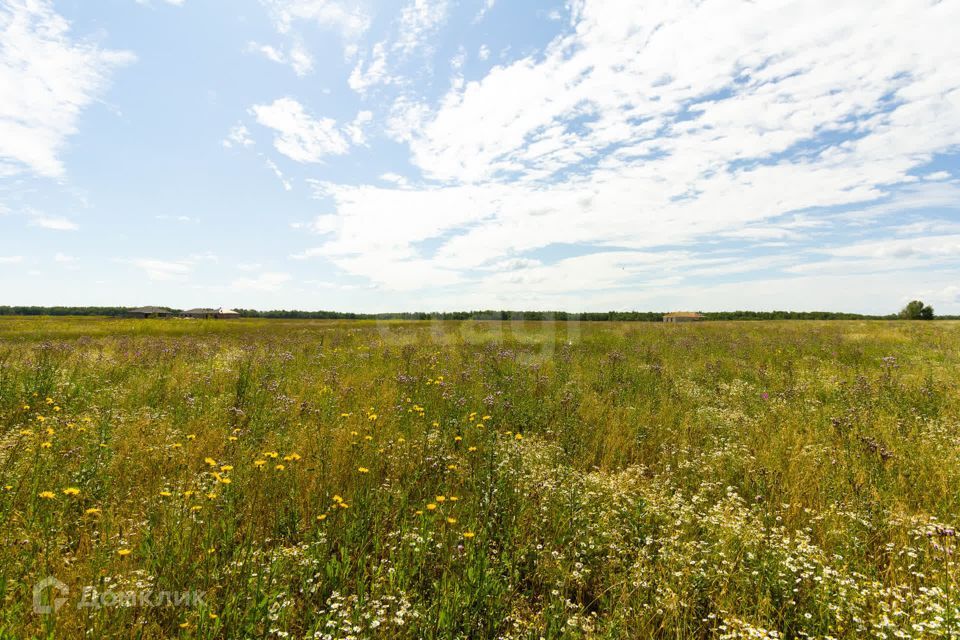 земля р-н Ленинский село Каменское фото 3