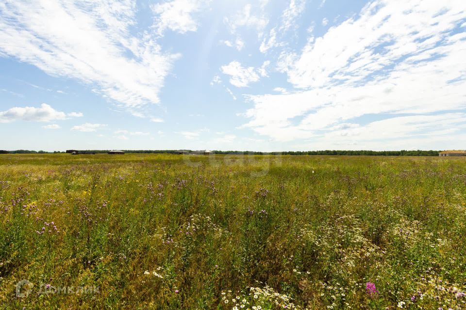 земля р-н Ленинский село Каменское фото 4