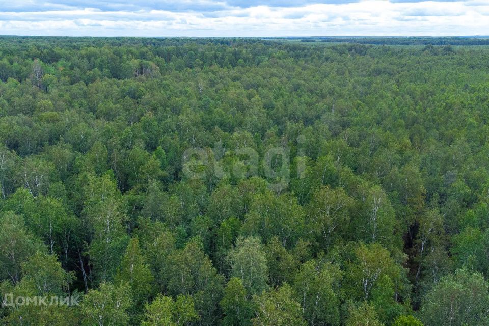 земля р-н Нижнетавдинский снт Геолог-2 фото 3