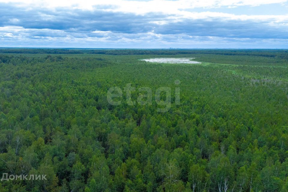 земля г Тюмень снт Светлячок городской округ Тюмень, 2-я улица фото 2