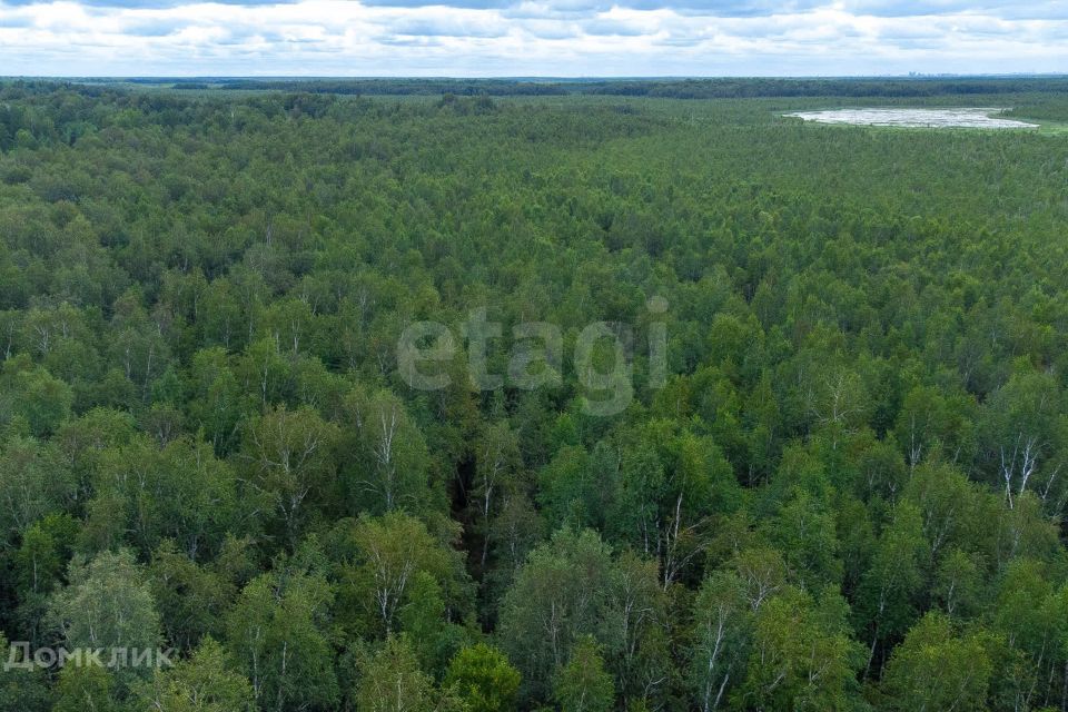 земля г Тюмень снт Светлячок городской округ Тюмень, 2-я улица фото 3