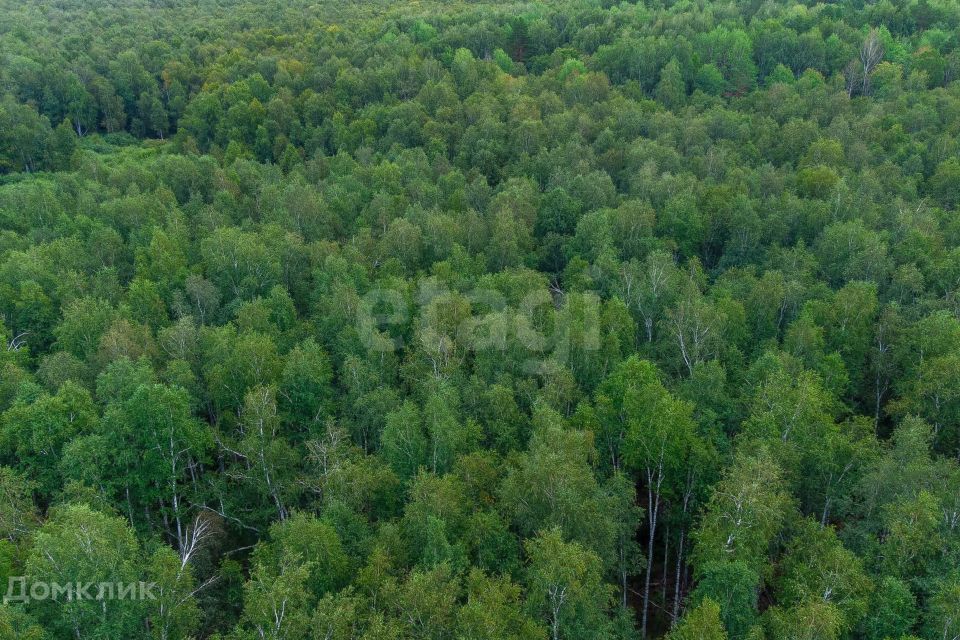 земля г Тюмень снт Светлячок городской округ Тюмень, 2-я улица фото 3