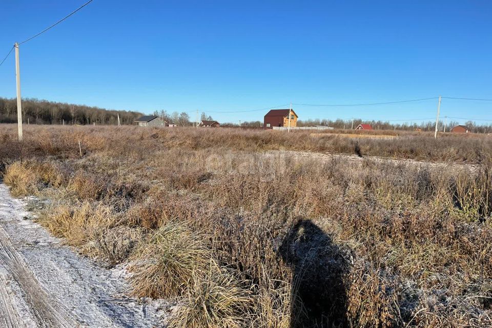 земля р-н Гаврилов-Ямский село Шопша фото 4