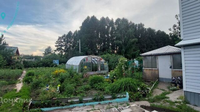 г Новосибирск р-н Советский НСТ Пион, городской округ Новосибирск фото