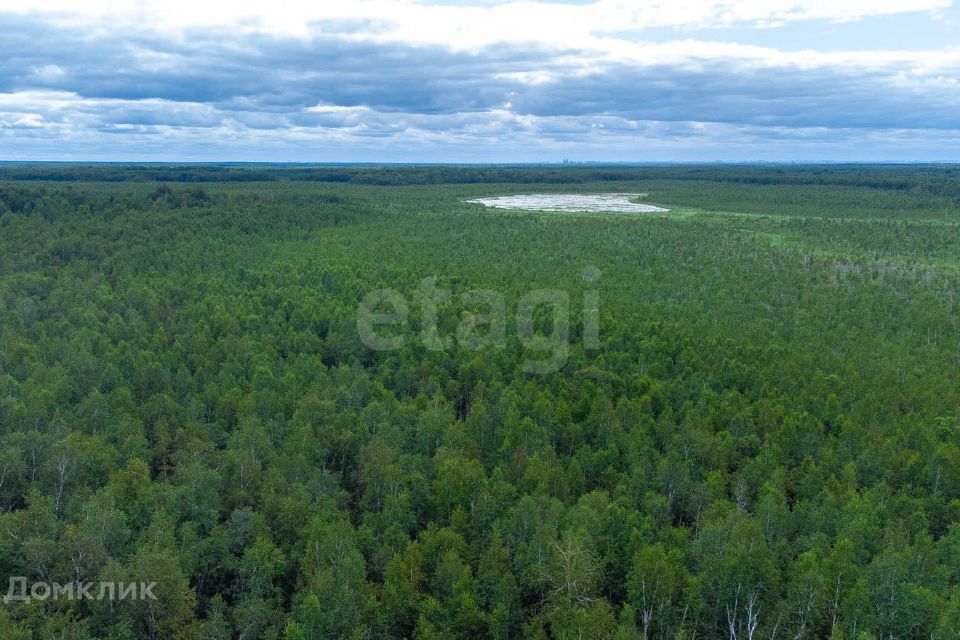 земля г Тюмень снт Светлячок городской округ Тюмень, 2-я улица фото 4