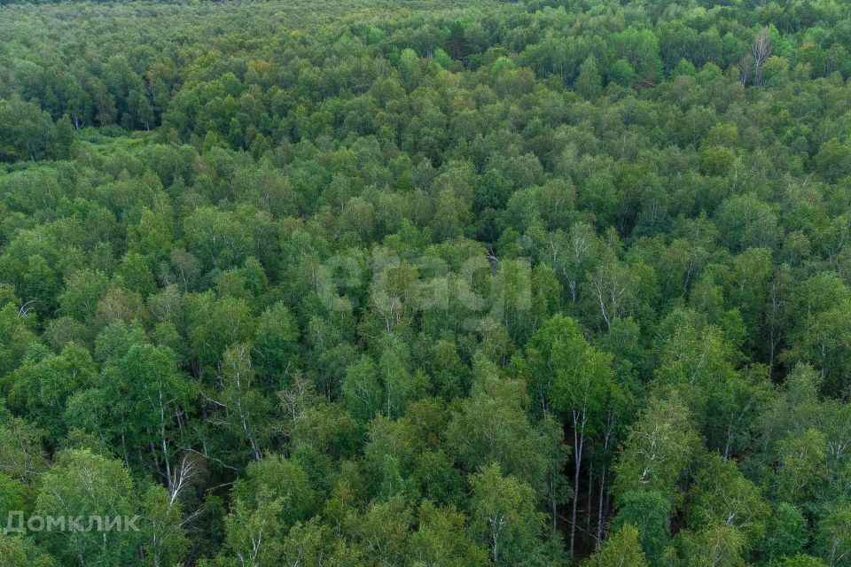 земля г Тюмень снт Светлячок городской округ Тюмень, 2-я улица фото 4