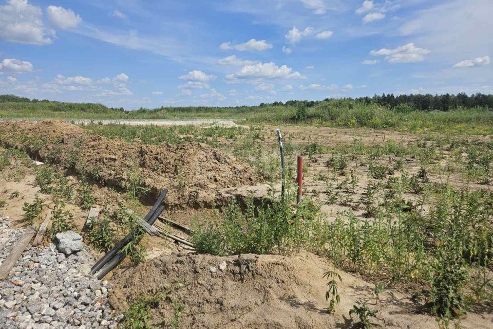 земля р-н Тюменский с Перевалово ул Прокопия Подаруева Переваловское сельское поселение фото 4