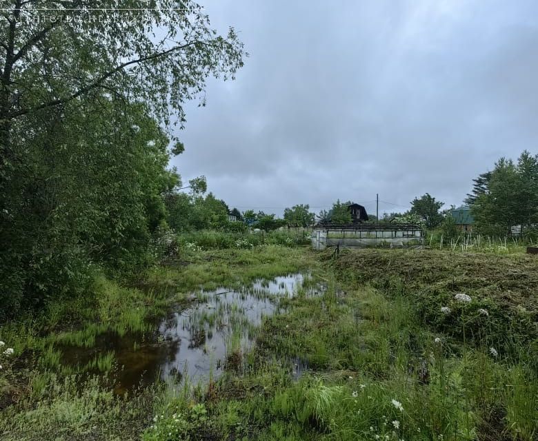 земля г Южно-Сахалинск городской округ Южно-Сахалинск, СНТ Мукомол фото 4