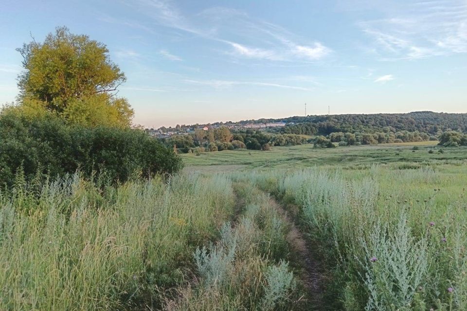 земля р-н Куркинский деревня Рыльское фото 3