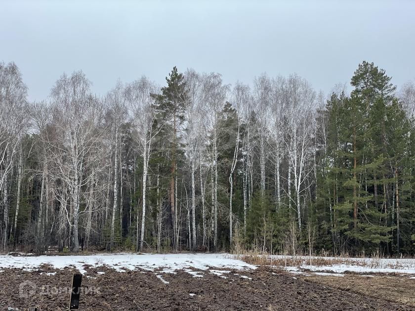 земля р-н Тюменский фото 1