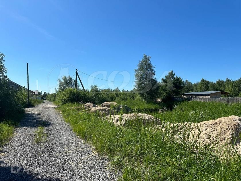 земля г Тюмень городской округ Тюмень, садовое товарищество Лаванда фото 3