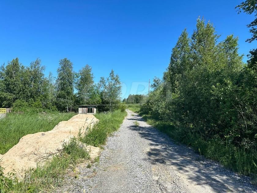 земля г Тюмень городской округ Тюмень, садовое товарищество Лаванда фото 4