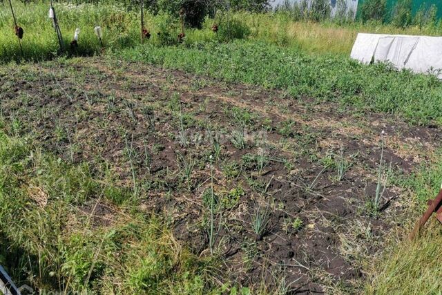 р-н Первомайский улица Садовое Кольцо, городской округ Новосибирск фото