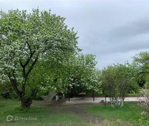 дом р-н Благовещенский село Егорьевка фото 1