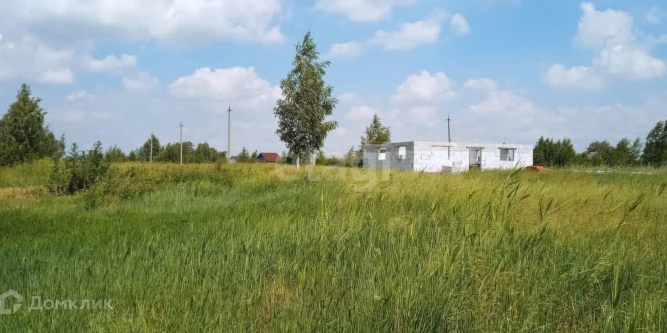 земля Копейский городской округ, СНТ Курочкино-1 фото 1