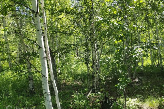 земля р-н Советский городской округ Челябинск, Смолино фото