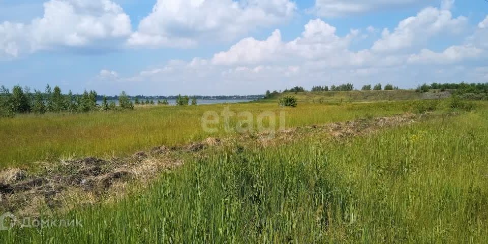 земля Копейский городской округ, СНТ Курочкино-1 фото 4