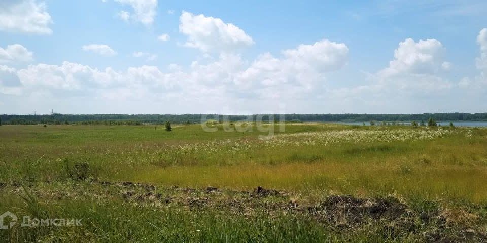 земля г Копейск Копейский городской округ, Лесная улица фото 3