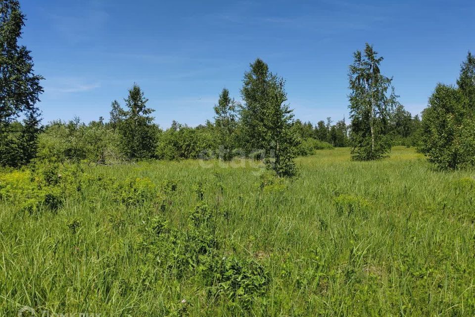 земля г Челябинск р-н Советский городской округ Челябинск, Смолино фото 4