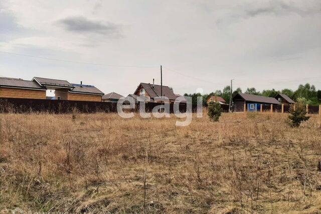 р-н Октябрьский ул Елены Стасовой фото