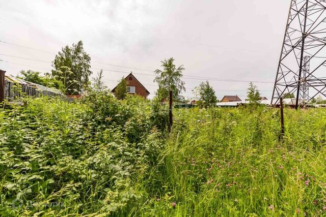 городской округ Сургут, садовое товарищество Хвойный фото