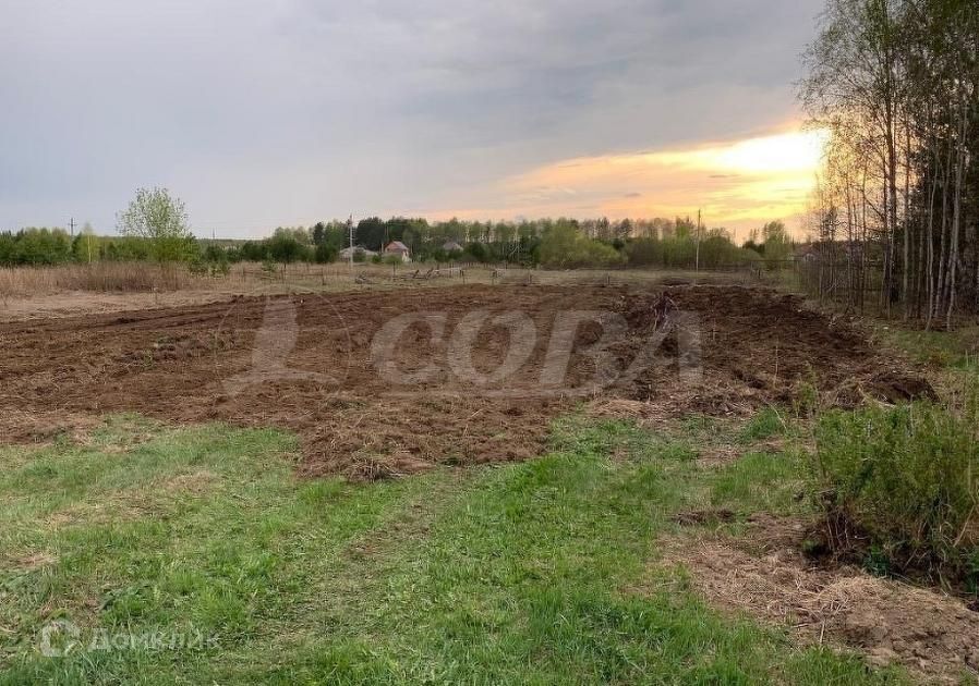 земля р-н Нижнетавдинский село Тюнево фото 3