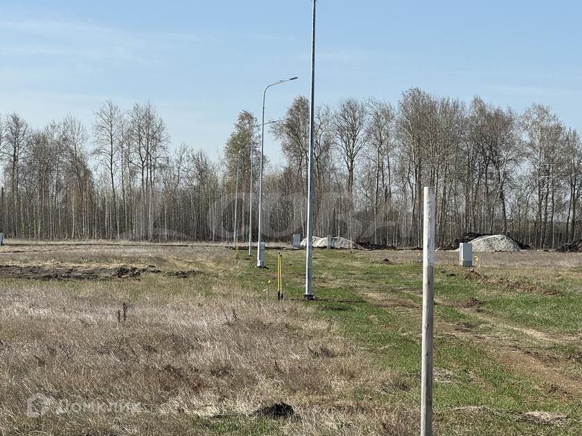 земля р-н Тюменский ДПК Новокаменский, Коттеджный посёлок Новокаменский фото 2