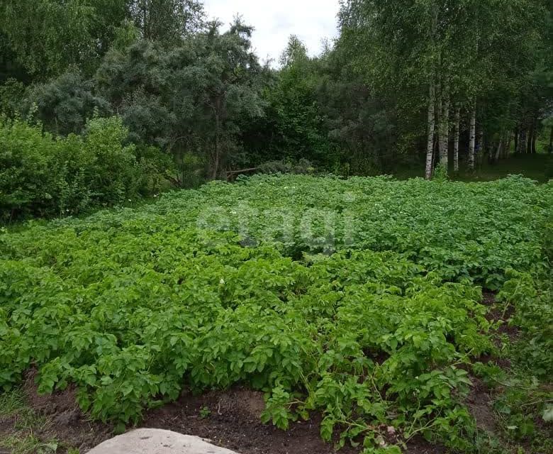 дом р-н Ярославский садоводческое некоммерческое товарищество Дизелист фото 3