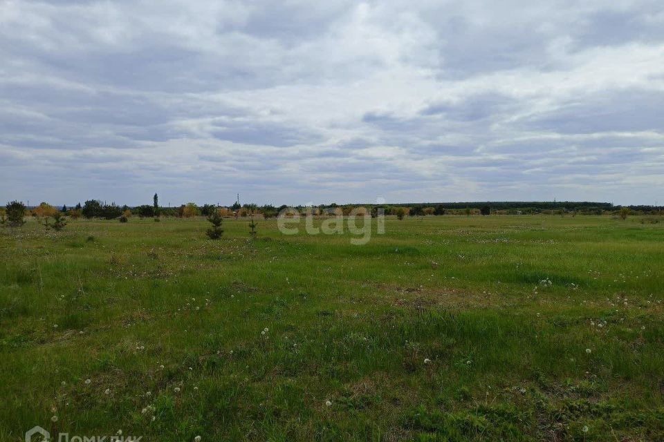 земля р-н Верхнехавский фото 2