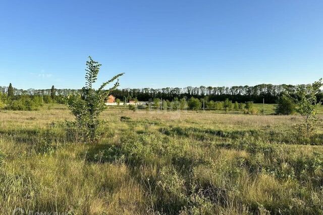 ул Дальняя Белгород городской округ фото