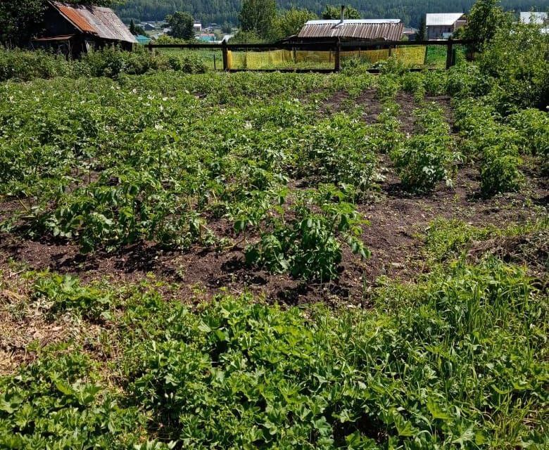 земля г Миасс с Сыростан Миасский городской округ, Степана Разина, 19 фото 4