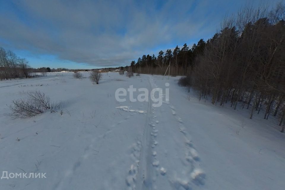 земля р-н Нижнетавдинский фото 3