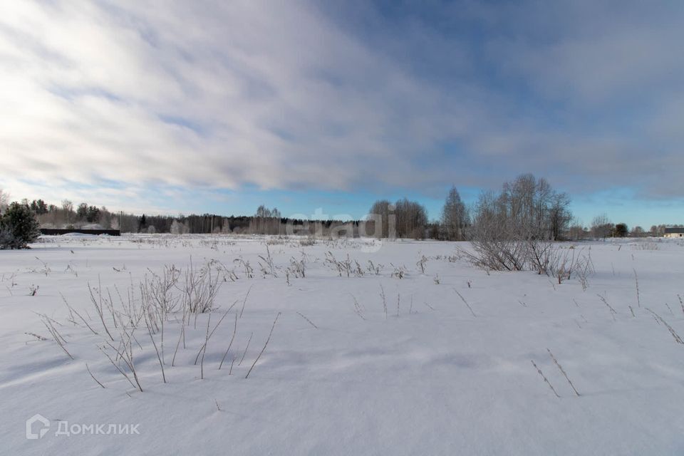 земля р-н Нижнетавдинский фото 4