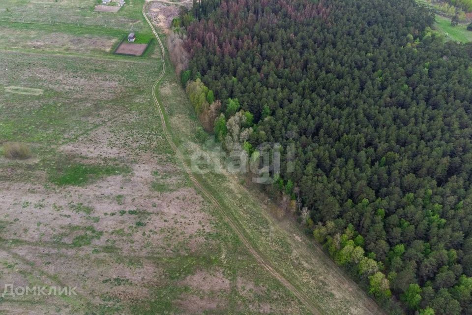 земля р-н Тюменский деревня Нариманова фото 4