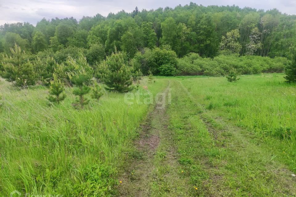 земля р-н Березовский деревня Лукино фото 4