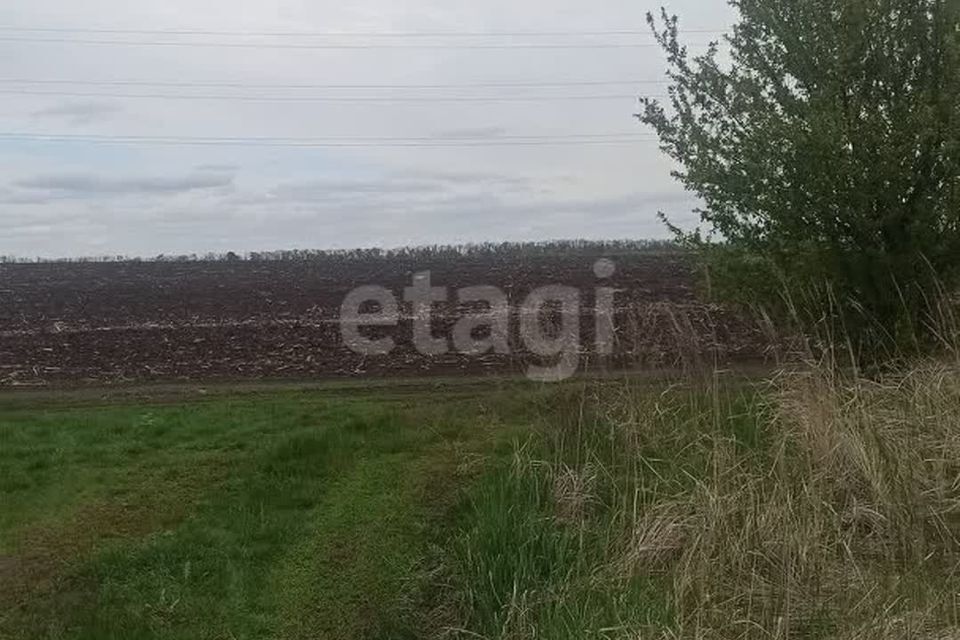 земля р-н Белгородский СТ Родничок фото 3