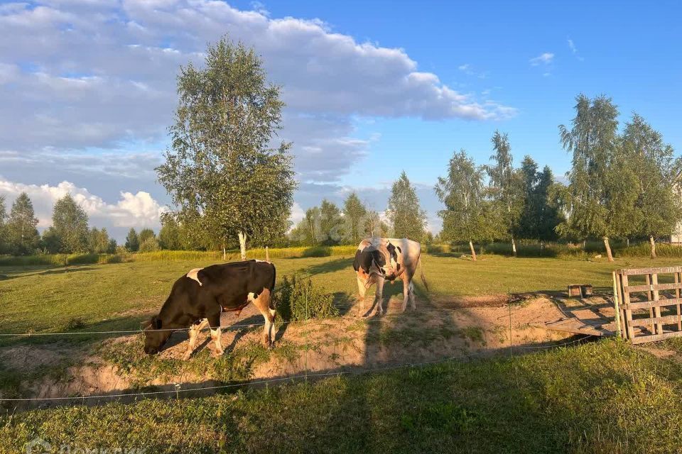 земля р-н Гурьевский п Орловка фото 4