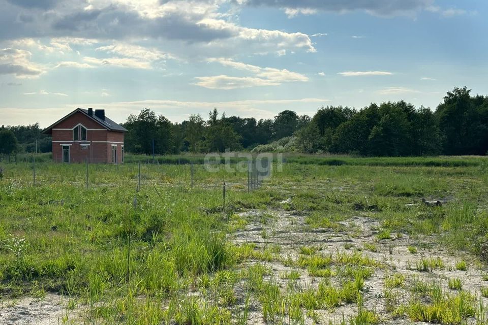 земля р-н Багратионовский посёлок Раздольное фото 3