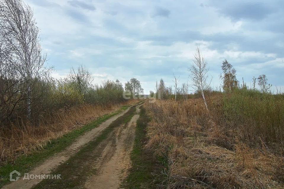 земля р-н Нижнетавдинский село Средние Тарманы фото 5