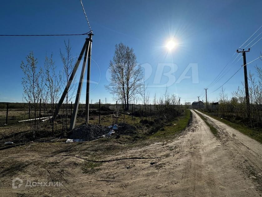 земля р-н Тюменский ДНТ Горячий источник фото 5