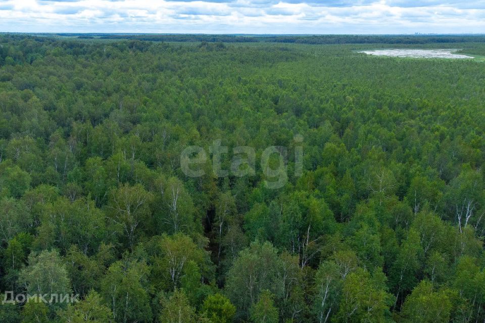 земля г Тюмень снт Светлячок городской округ Тюмень, 2-я улица фото 5