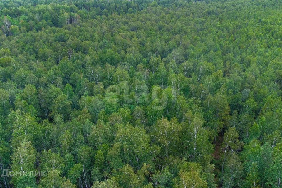 земля г Тюмень снт Светлячок городской округ Тюмень, 2-я улица фото 7