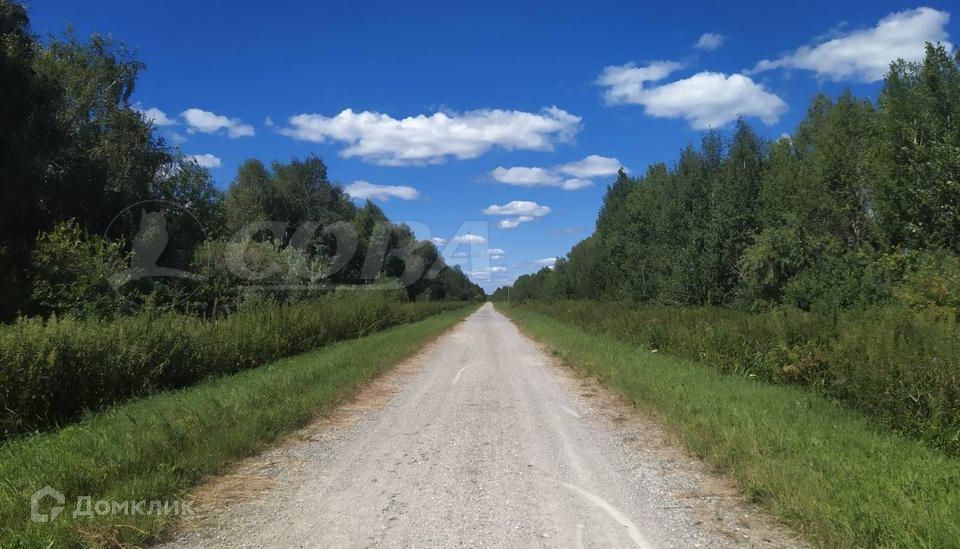 земля г Тюмень городской округ Тюмень, Садоводческое общество Зелёный бор фото 6